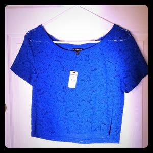 Express Royal Blue Floral Lace Crop Top NWT 💙